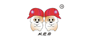 双胞胎集团