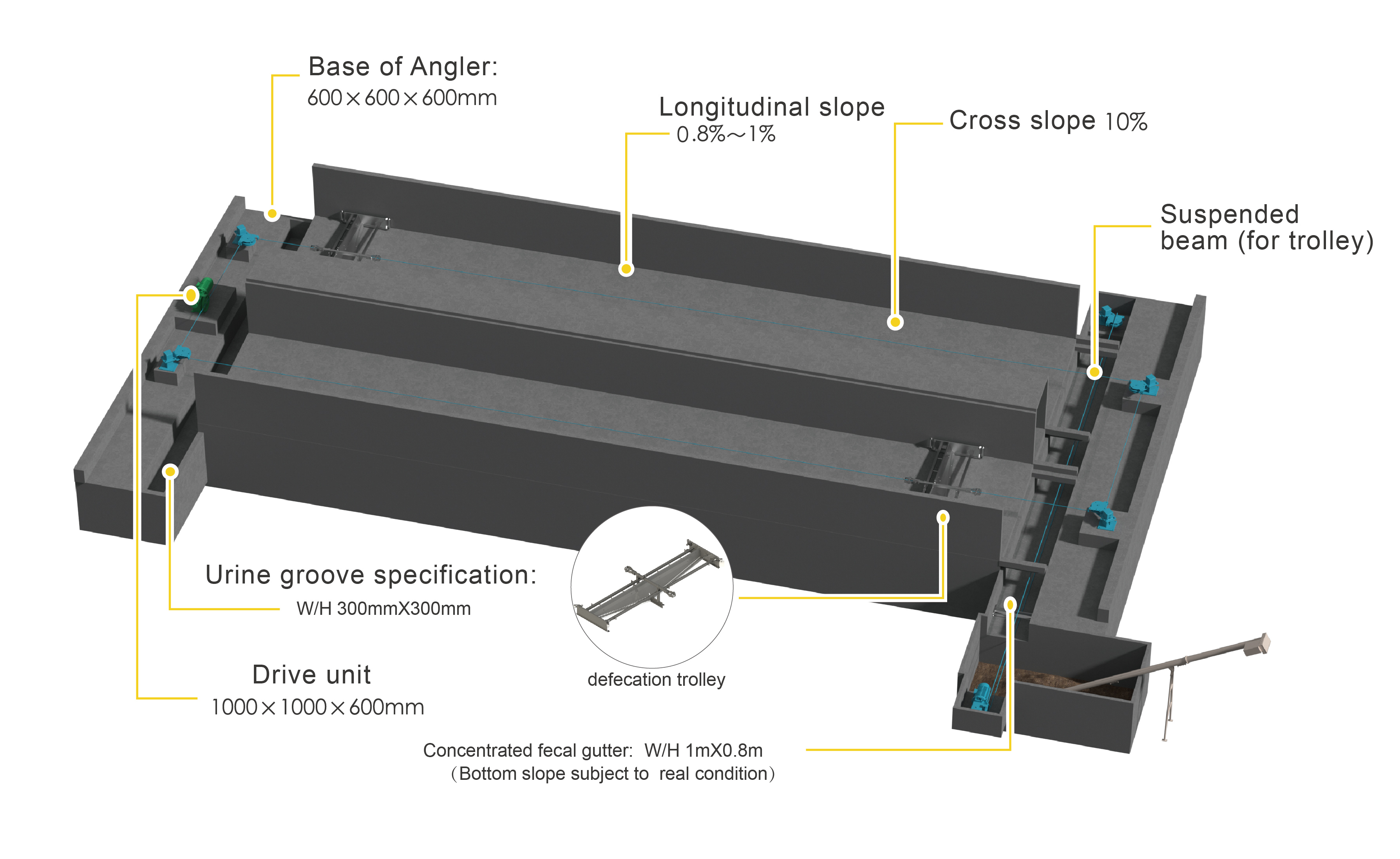 Manure removal system